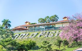 Candeias Hotel Gold Fish